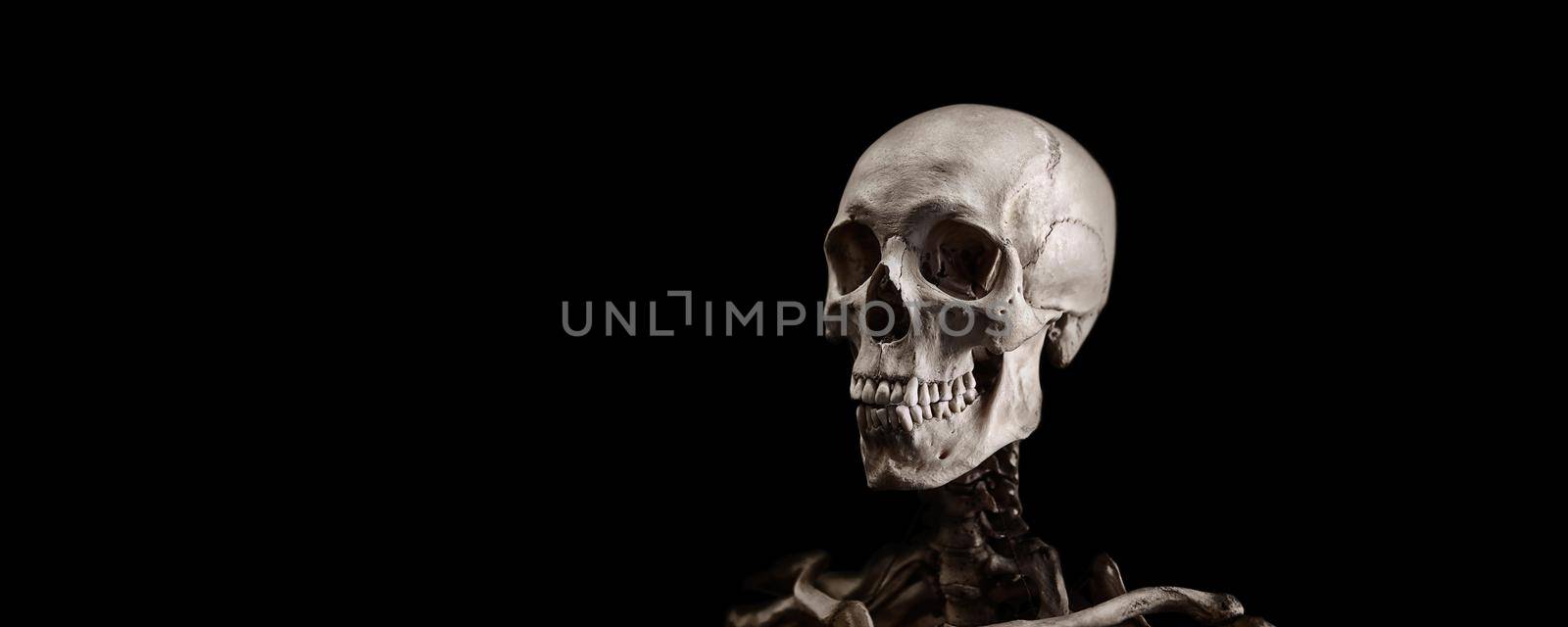 Skeleton of a man on a black background. A real human skeleton.