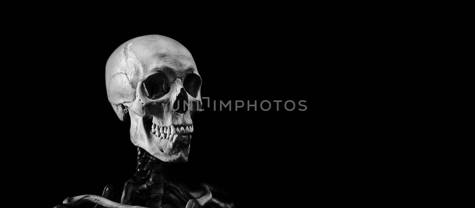 Skeleton of a man on a black background. A real human skeleton.