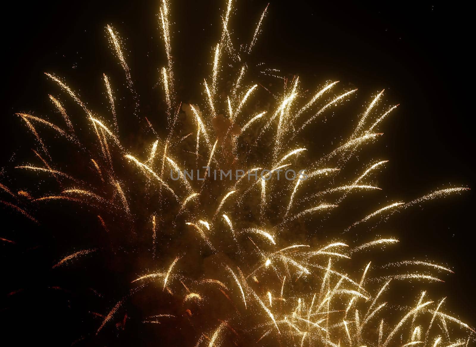 Golden fireworks of various colors over night sky, Real Fireworks on Deep Black Background Sky on Fireworks festival show before independence day on 4 of July. Beautiful fireworks show.