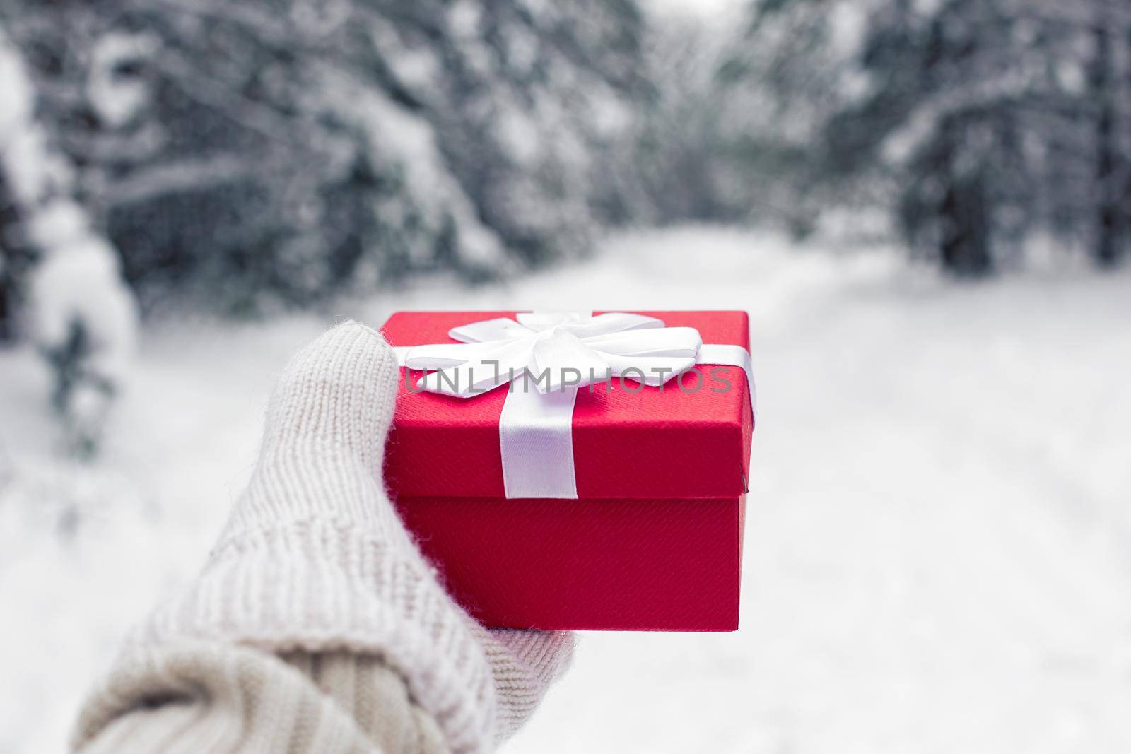 The girls hand in white mitten are holding a red gift box against the background of a winter forest. Close-up