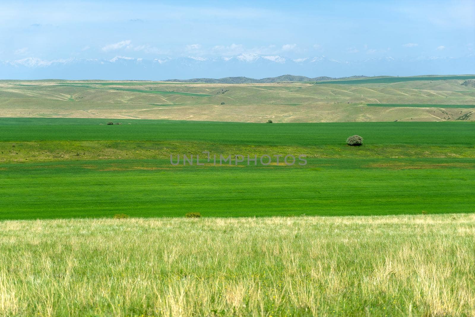 Kahetia, Georgia mountain and fields landscape view by javax