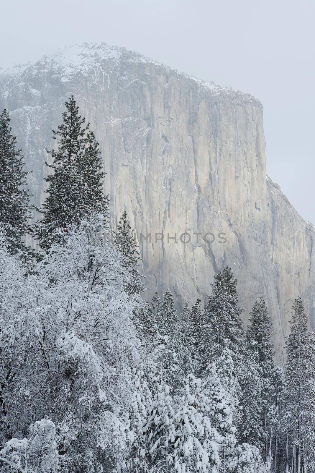 el capitan at yosemite in winter