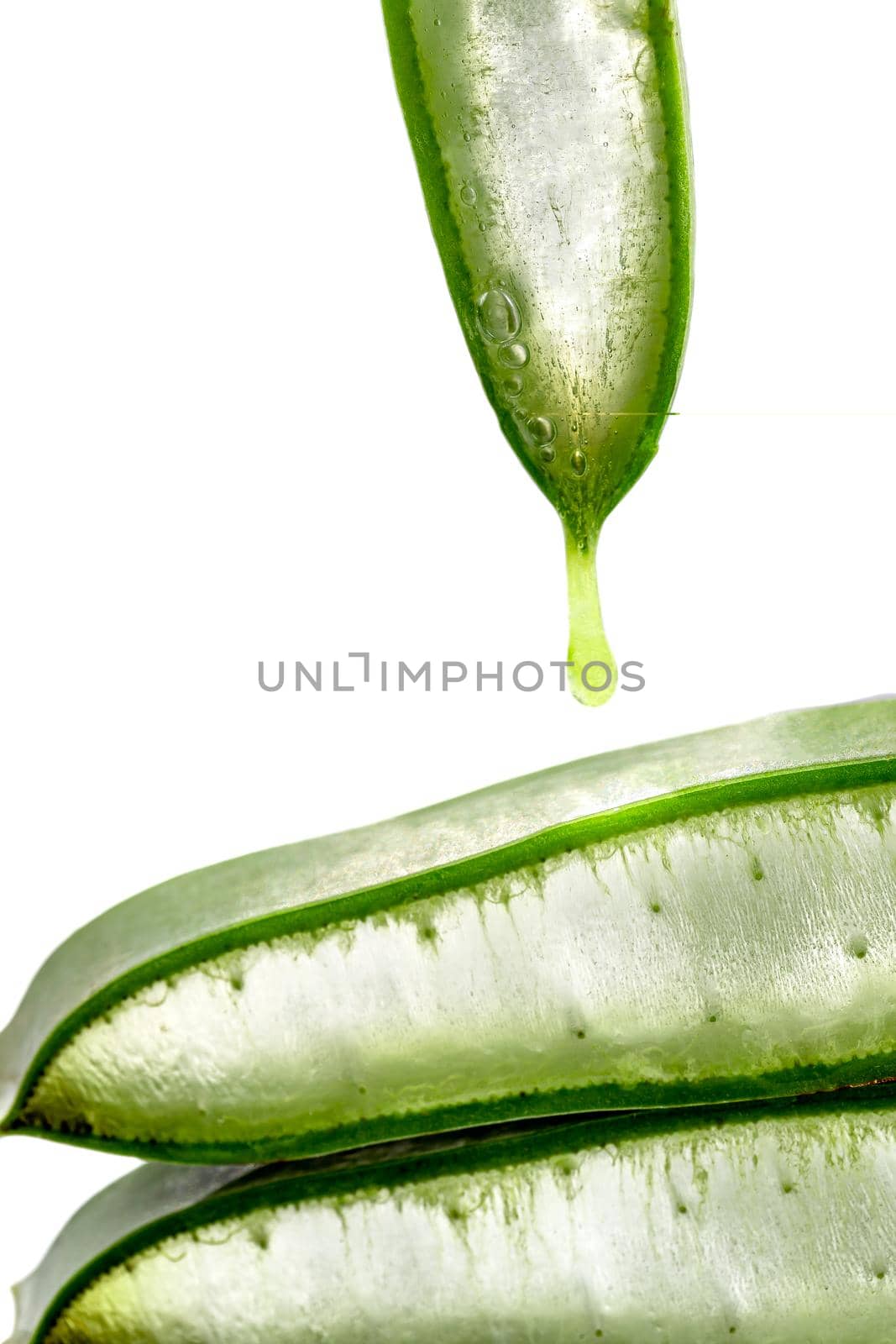 Pieces of the plant sliced transparently, a drop of gel falling