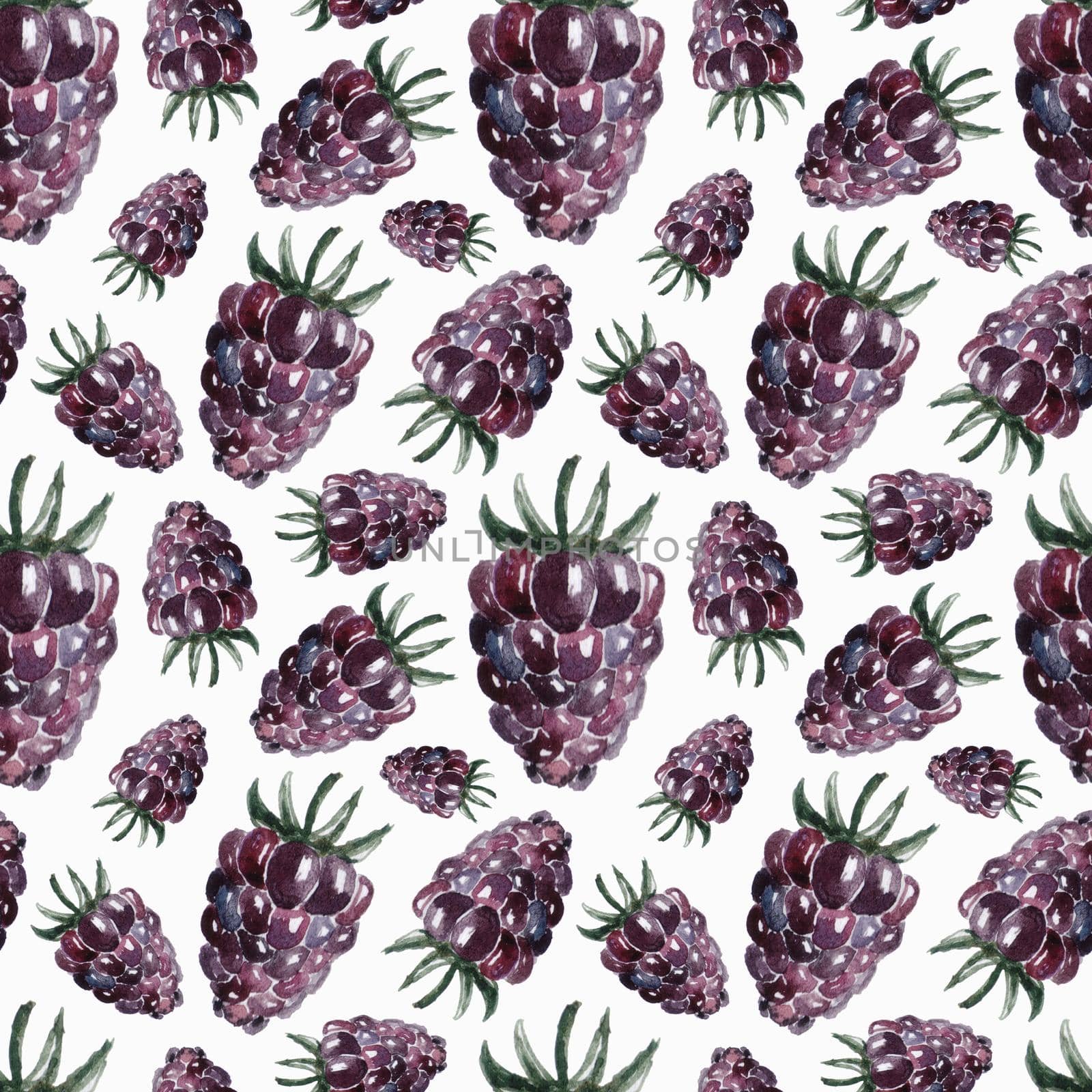 Seamless pattern with watercolor blackberry. Berries illustration. by Rodnova