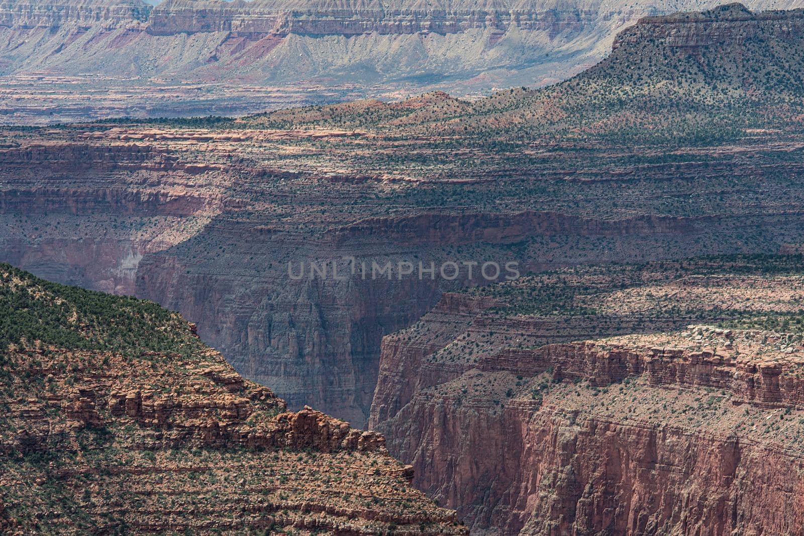 Grand Canyon up close abstract