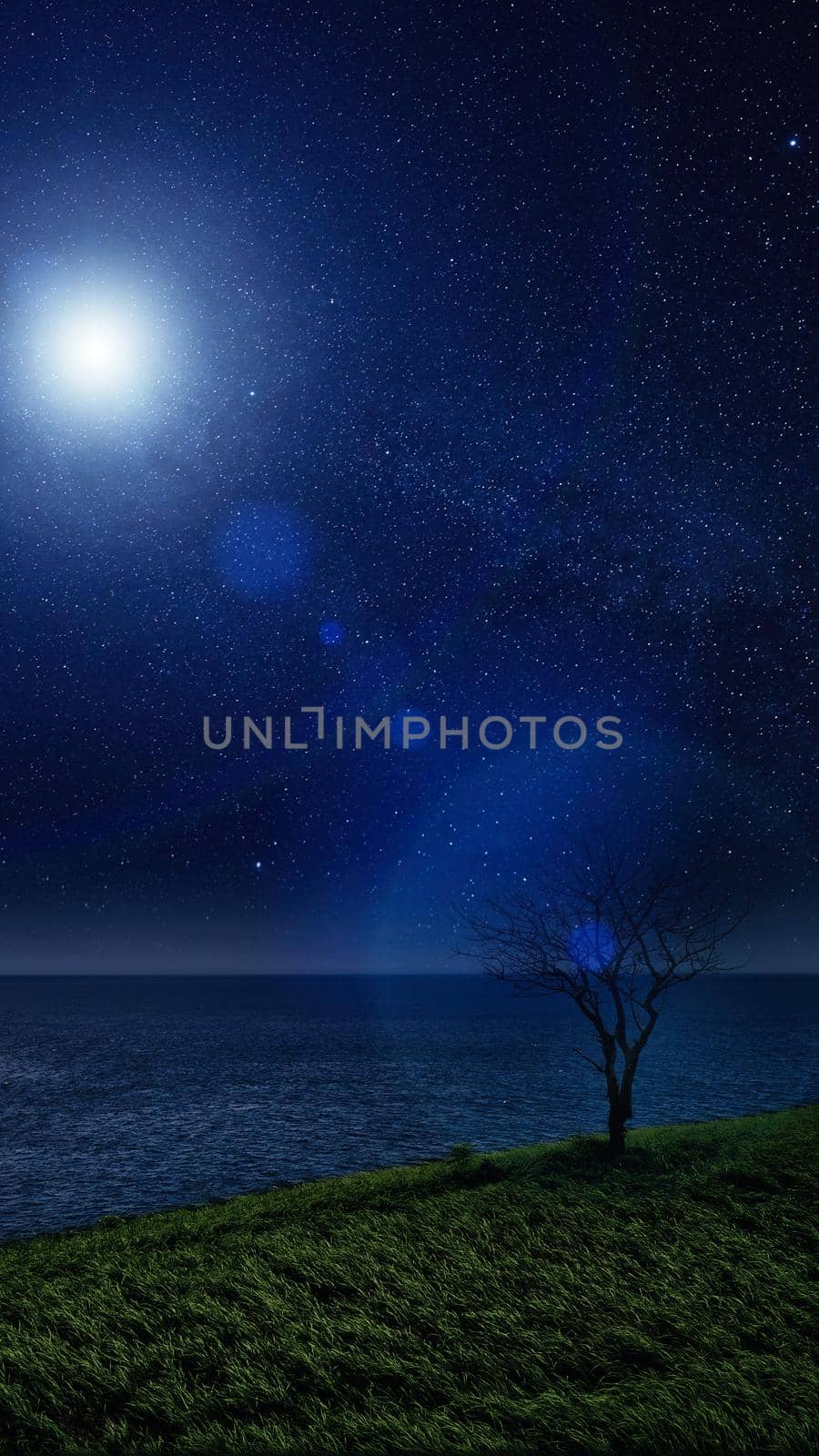 Lonely tree and Glow in the night sky. night landscape.
