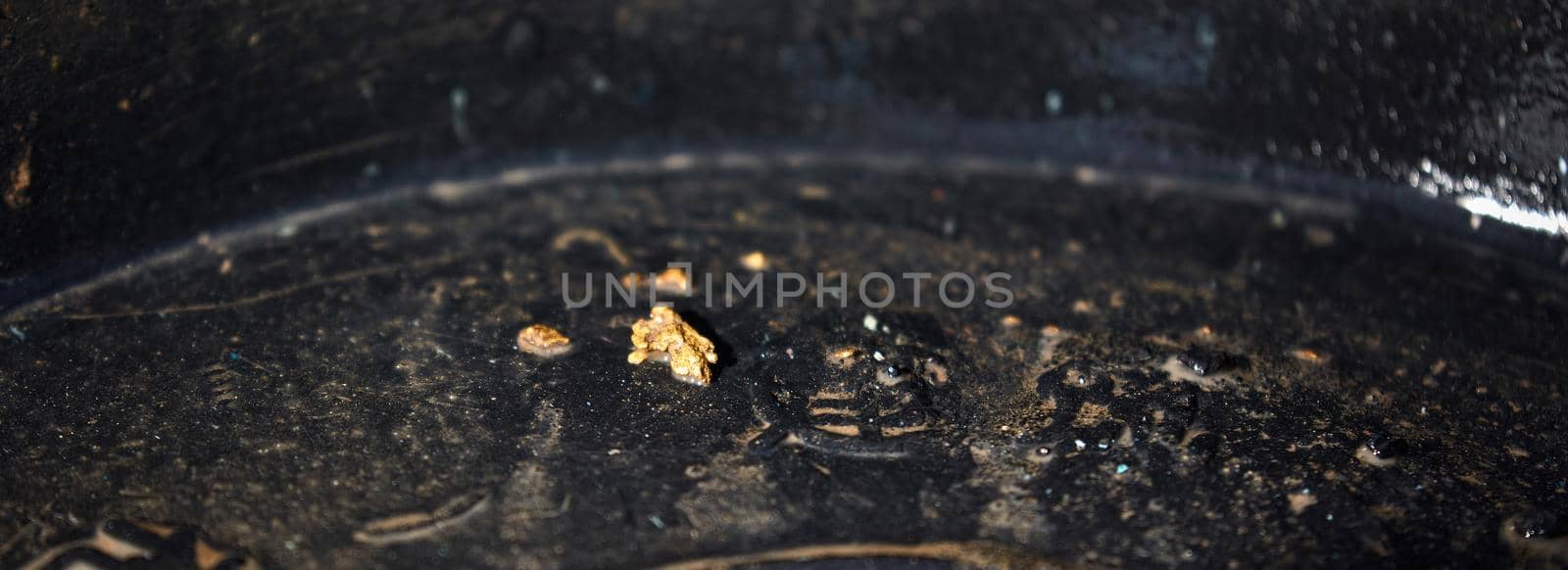 Gold nugget in a gold miner's tray. Gold mining with your own hands.