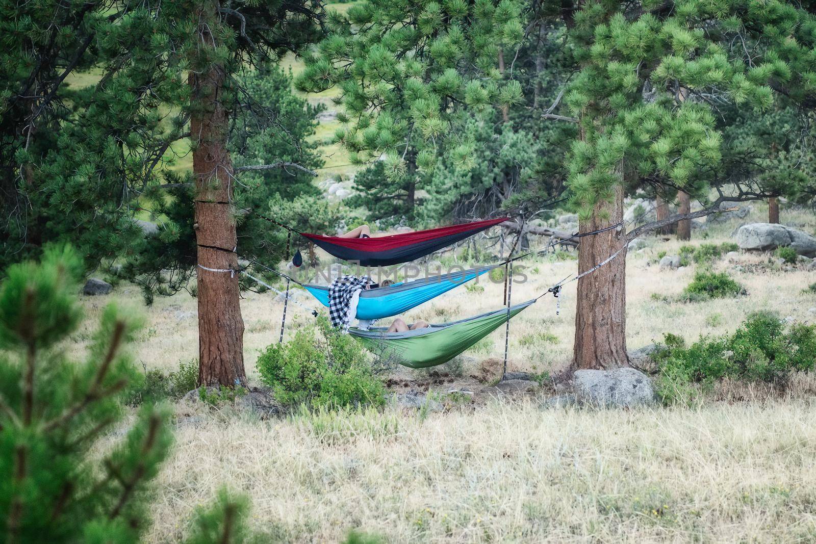 Three Family hammocks while camping.