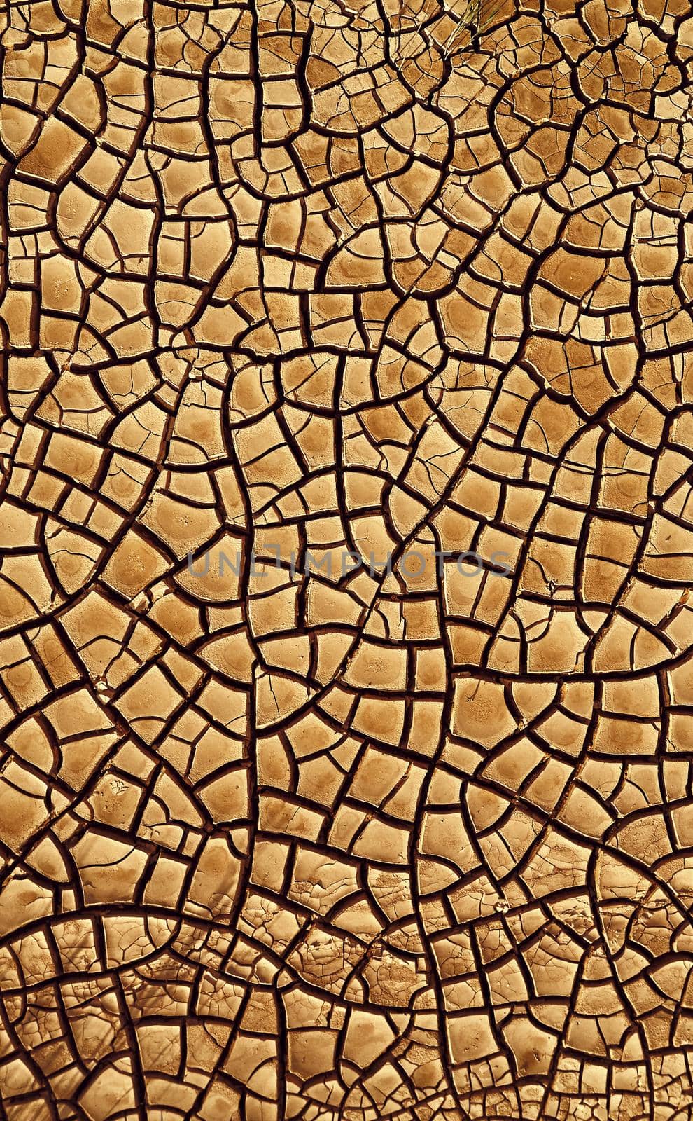 Desert. Aerial view of a beautiful cracks in the ground. texture, deep crack. Effects of heat and drought. effects of global warming. cracked desert landscape.