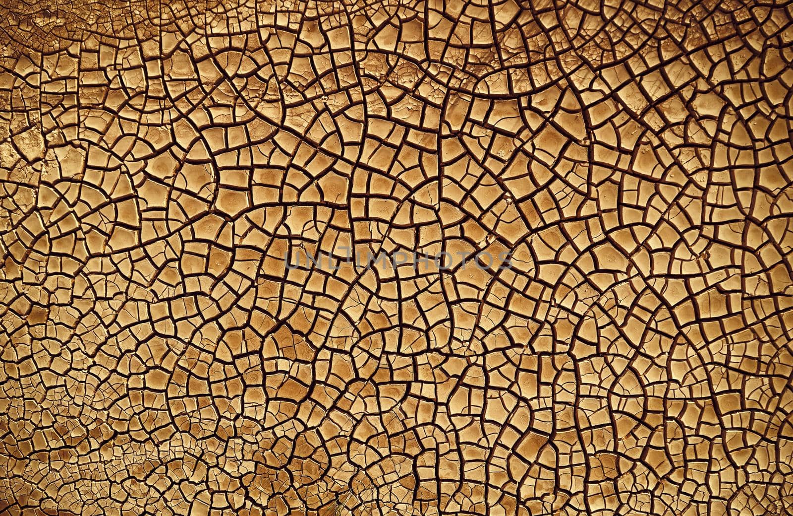 Desert. Aerial view of a beautiful cracks in the ground. texture, deep crack. Effects of heat and drought. effects of global warming. cracked desert landscape.