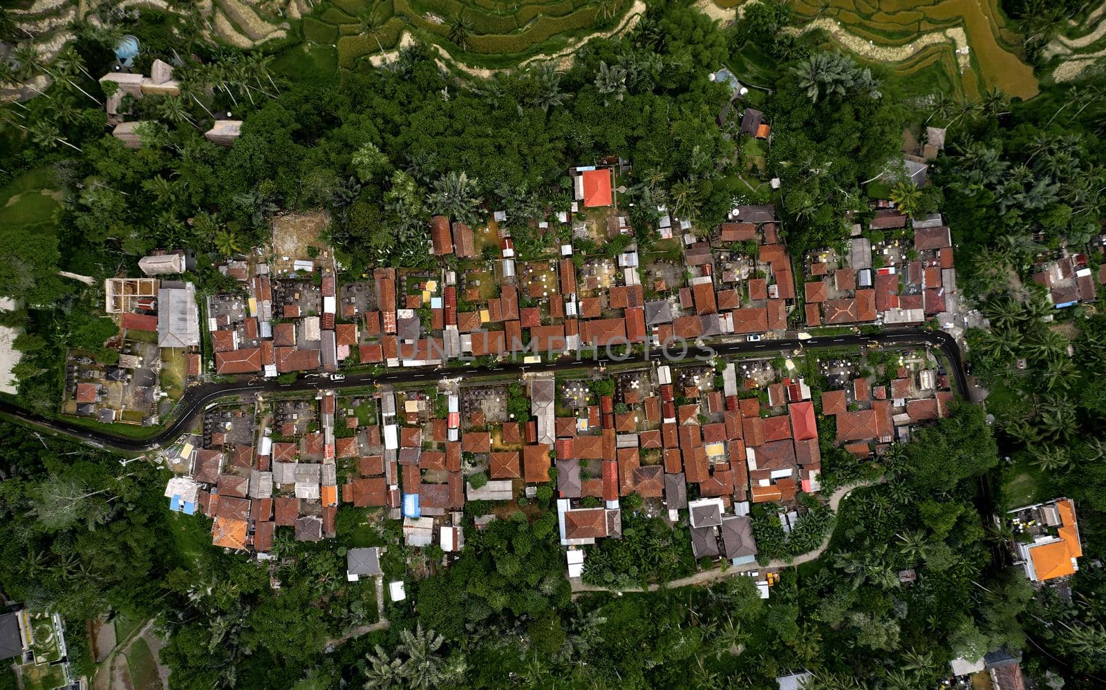 Aerial view of Rice terraces. rice field, geometry of agriculture. Bali, Indonesia