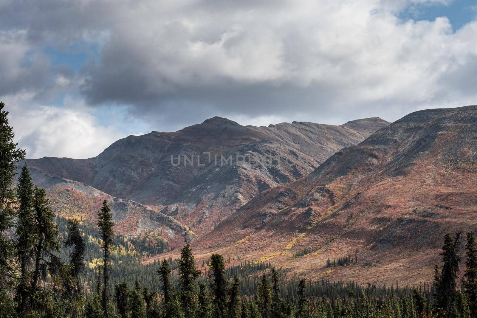 Yukon Highway dreams in high color