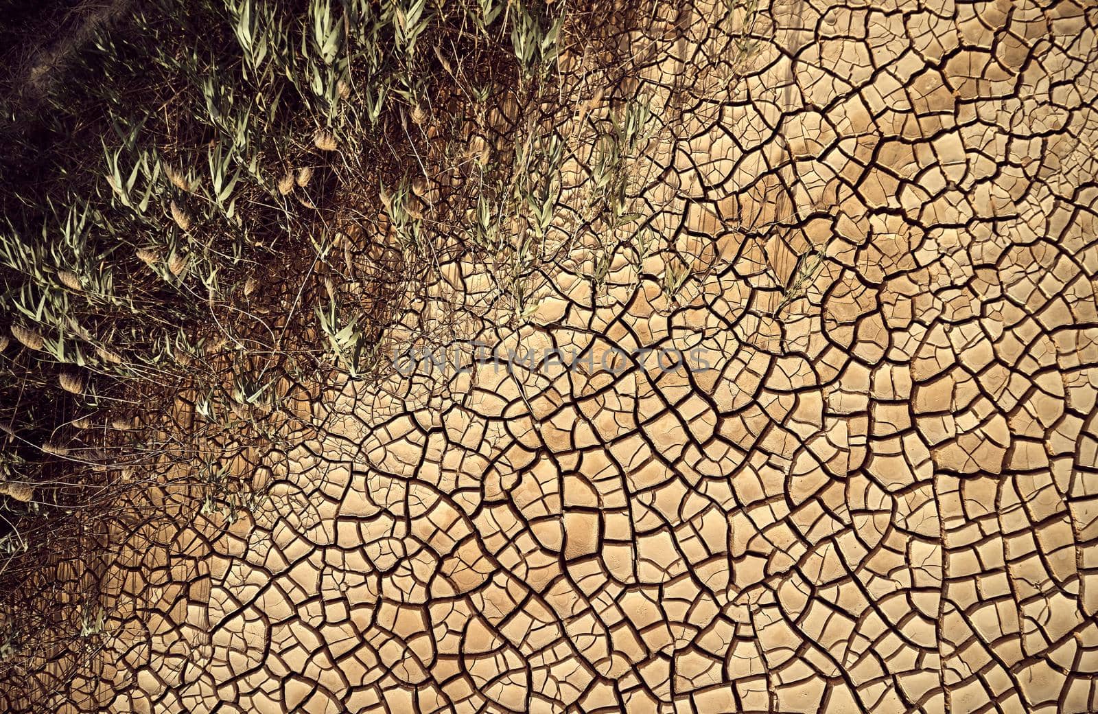 Desert. Aerial view of a beautiful cracks in the ground. texture, deep crack. Effects of heat and drought. effects of global warming. cracked desert landscape.