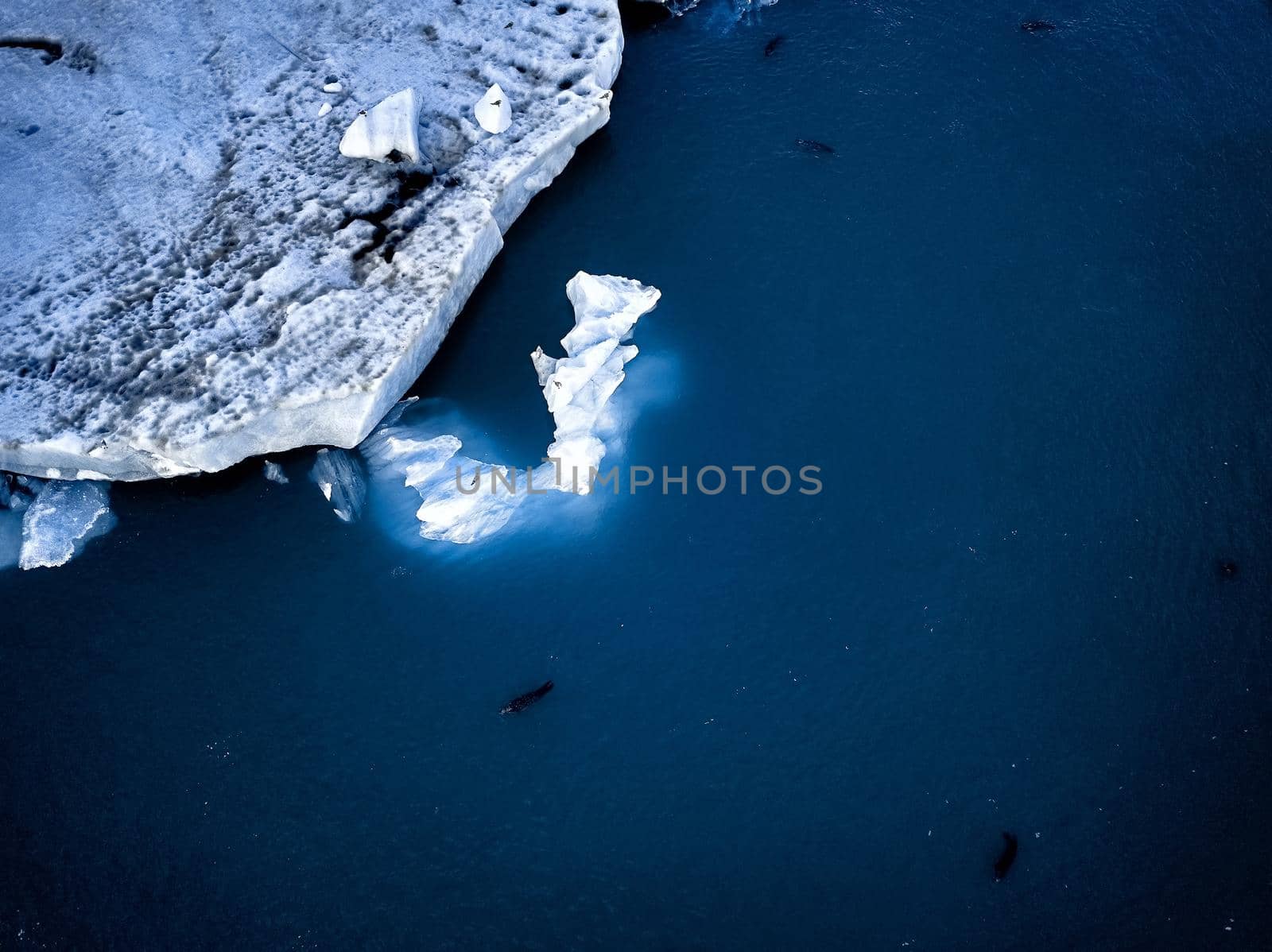 Aerial view of Glacier lagoon in Iceland. Seals on the ice