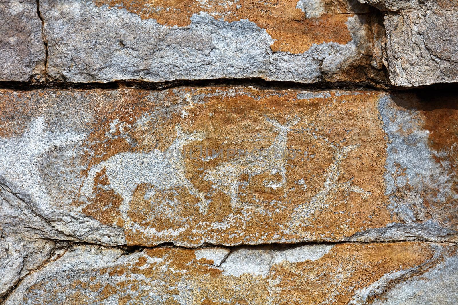 Rock paintings of ancient people. Image of ancient hunters with deer on the wall. ancient art, history, archeology by EvgeniyQW