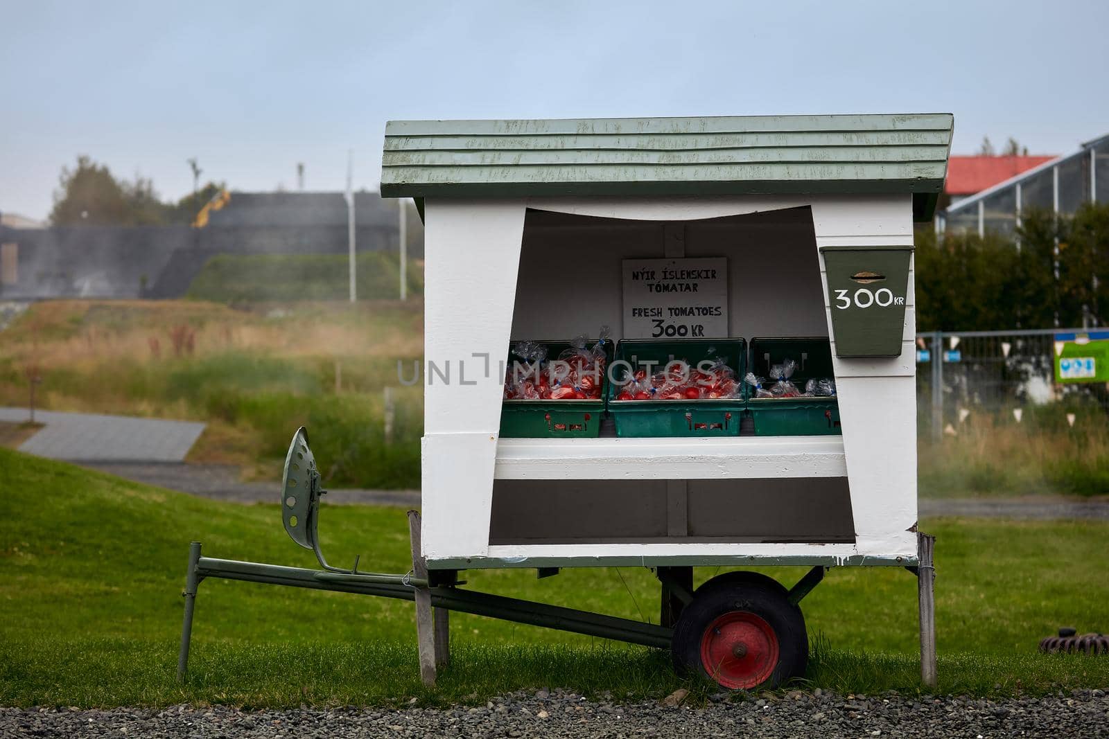 Selling fresh tomatoes. Self-service kiosk. Iceland, September 2018 by EvgeniyQW