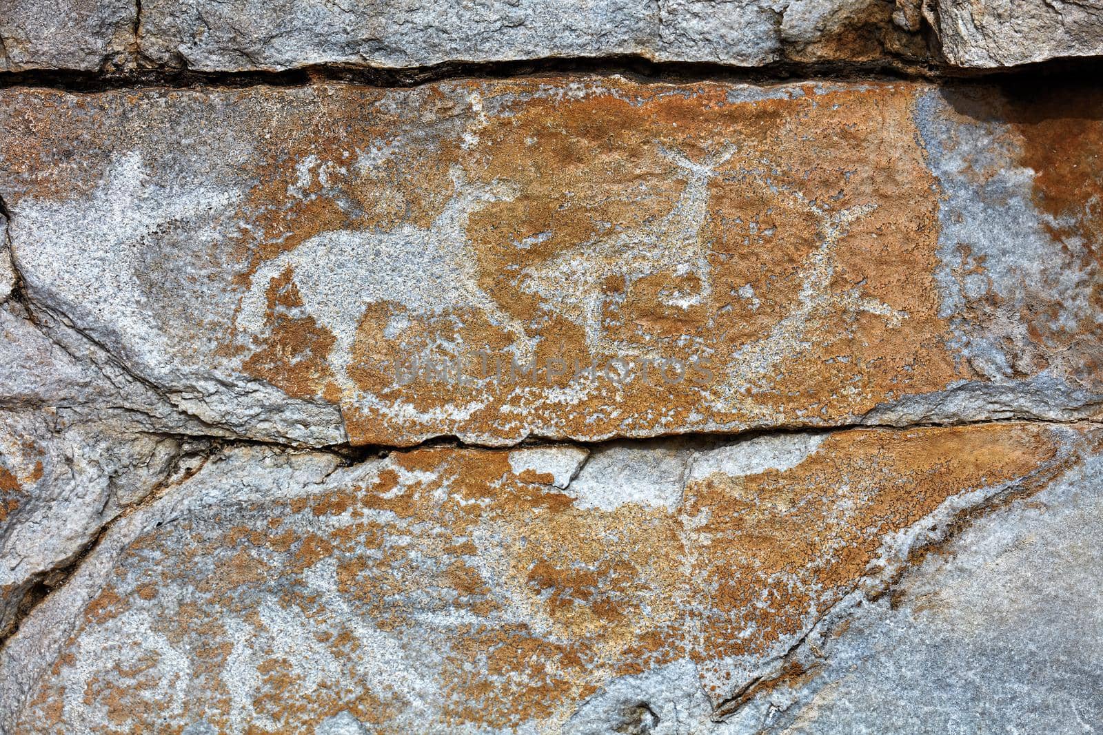 Rock paintings of ancient people. Image of ancient hunters with deer on the wall. ancient art, history, archeology