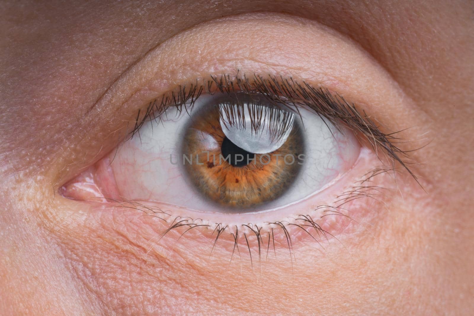 Closeup of young man single brown eye by DariaKulkova