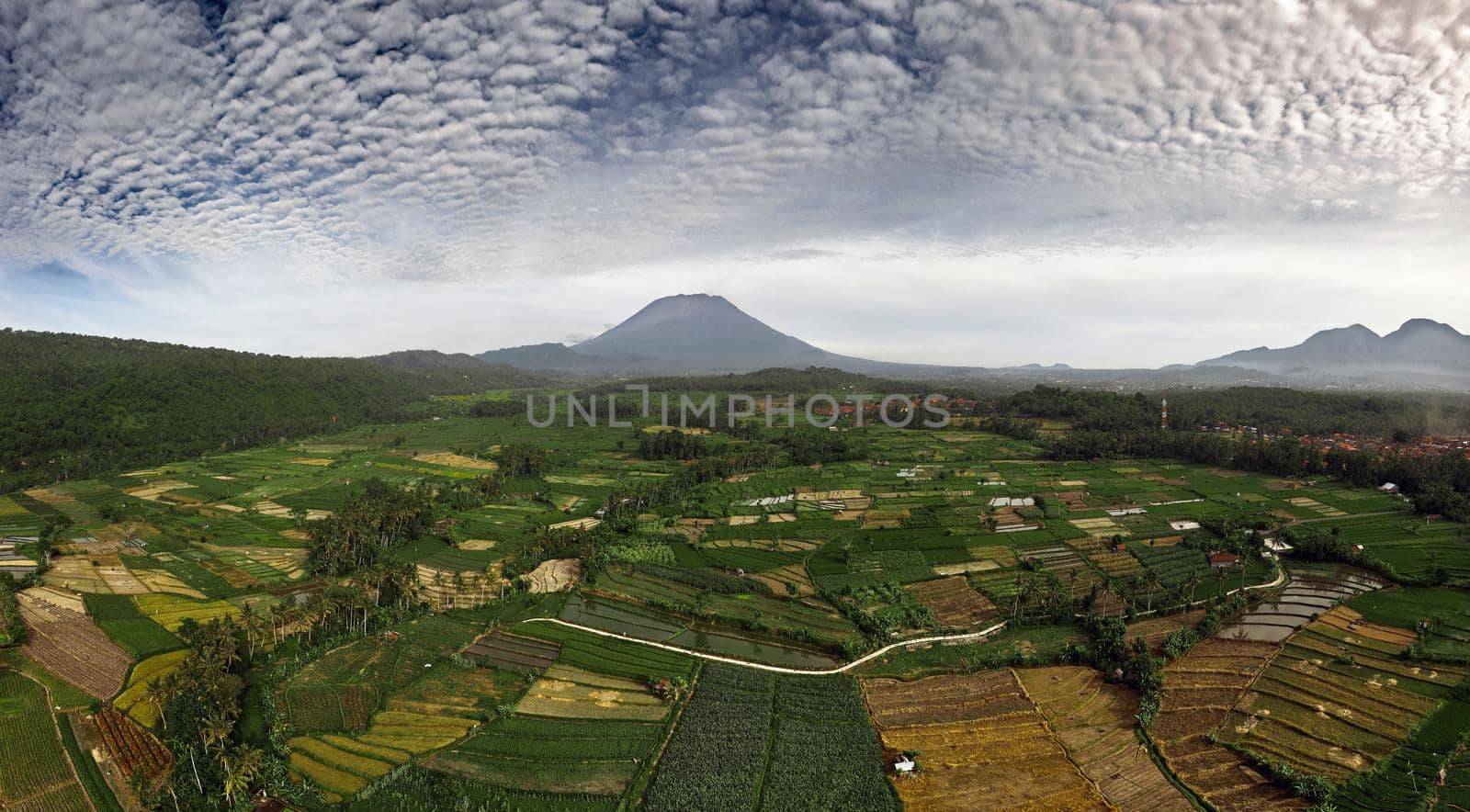 Aerial view of Rice fields and villages, near mount Agung. Bali, Indonesia by EvgeniyQW