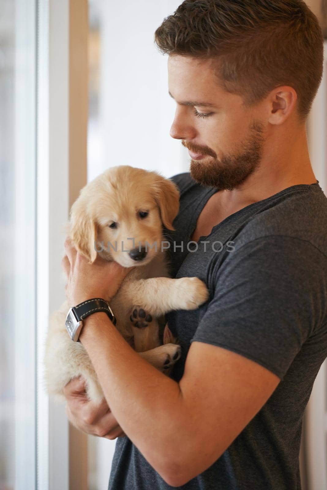 Dont worry Ill keep you safe. Cropped shot of a young man holding a puppy. by YuriArcurs