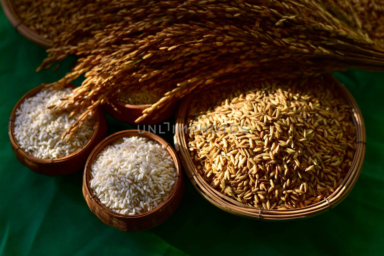 The grain in the wooden basket was placed paddy rice and rice on a green cloth background. Ideas for agriculture. Selective focus. Top view of white rice and paddy in a wooden bowl. Close Up 