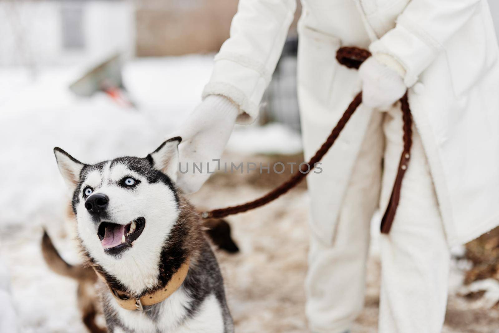 young woman with husky winter landscape walk friendship fresh air by SHOTPRIME