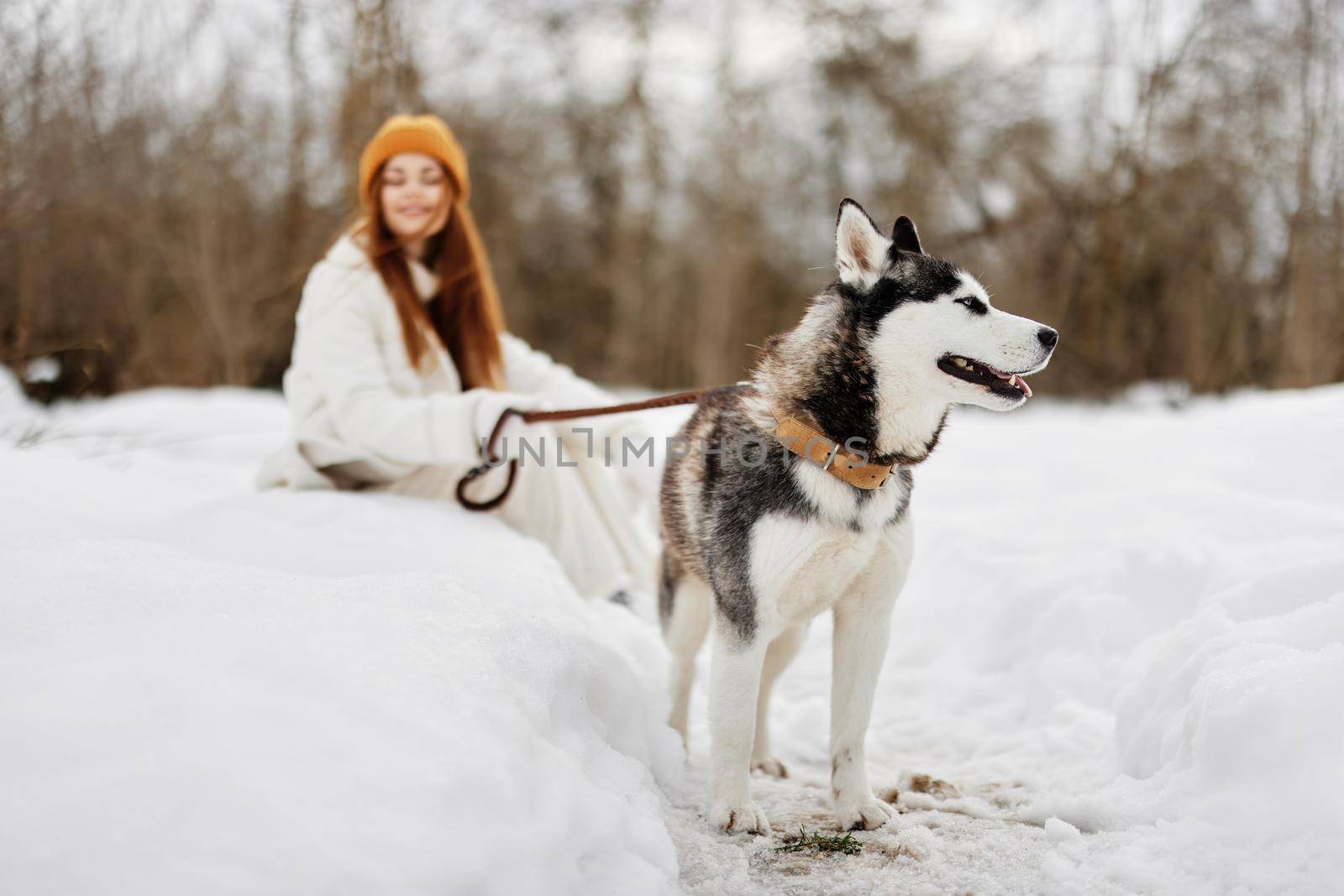woman outdoors in a field in winter walking with a dog winter holidays by SHOTPRIME