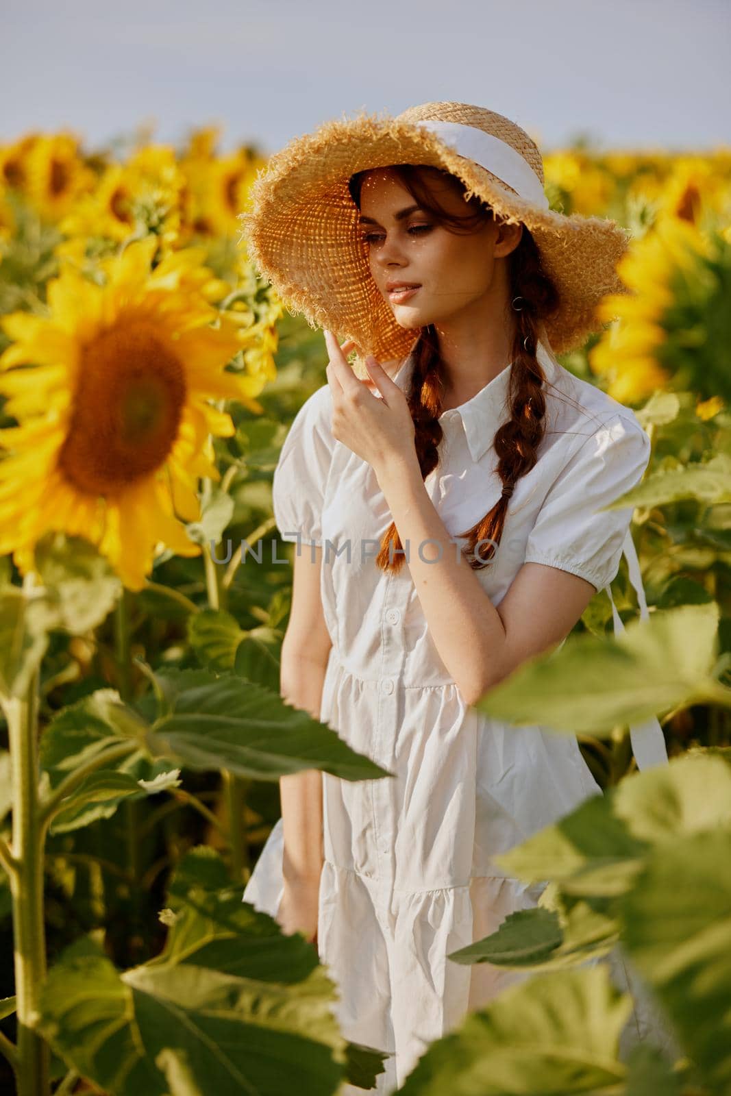 beautiful sweet girl in a white dress walking on a field of sunflowers unaltered. High quality photo