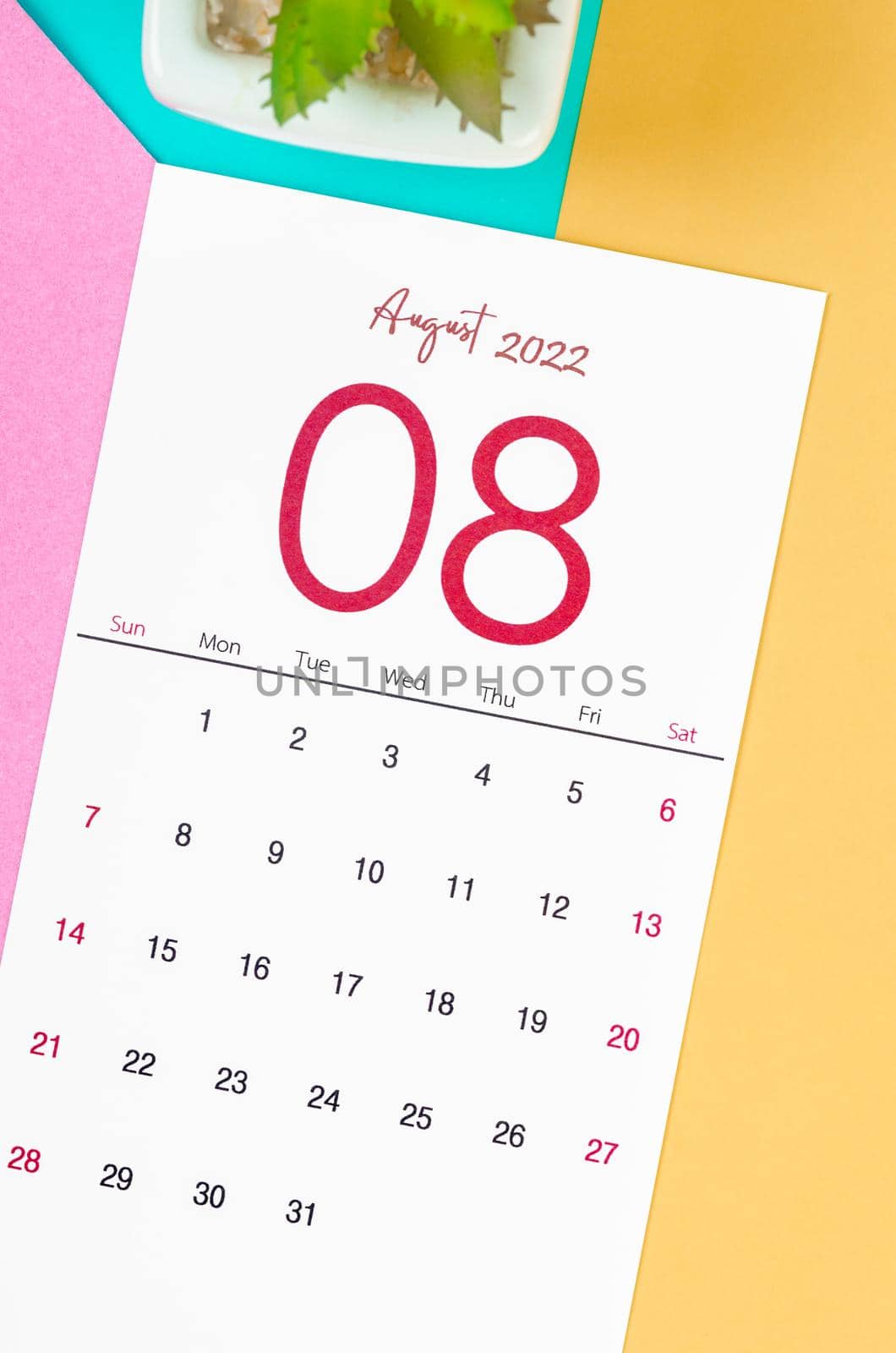 August 2022 calendar on multicolored background. by Gamjai