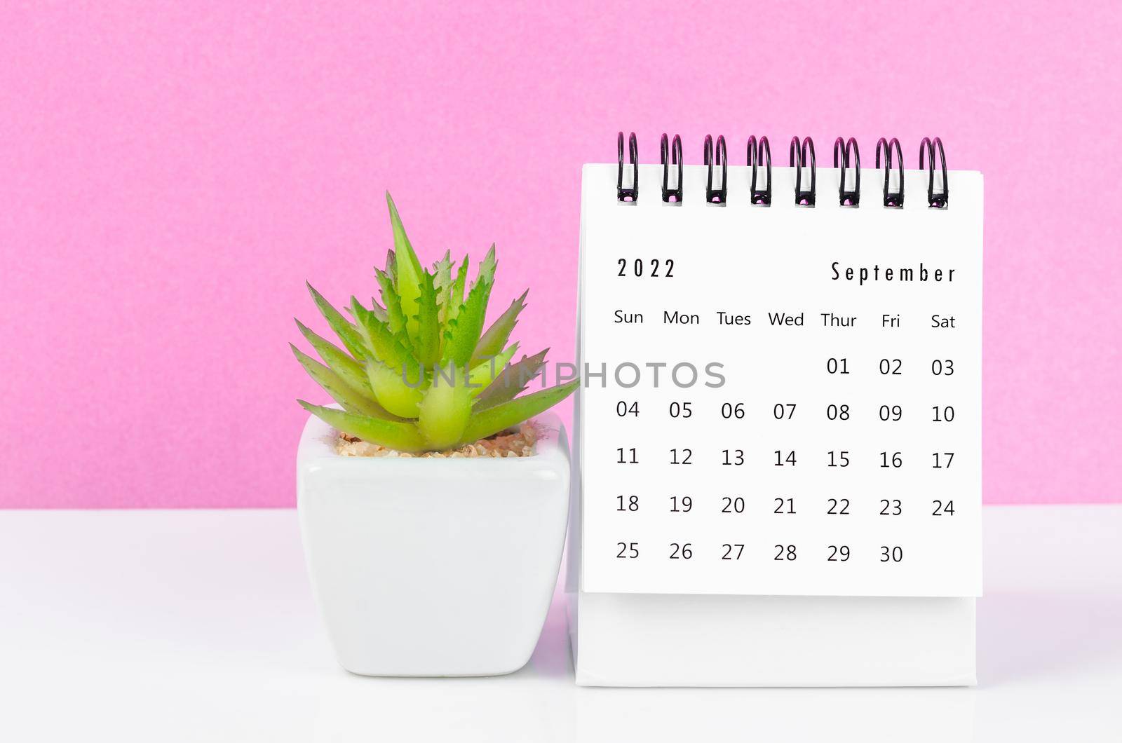 The September 2022 desk calendar with plant pot on pink background.
