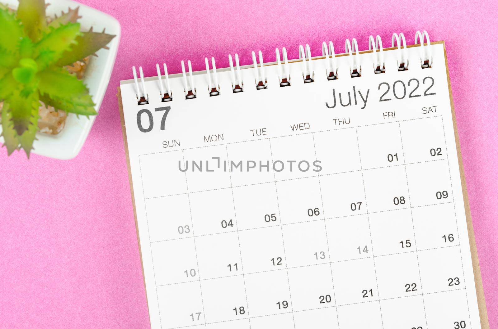 The July 2022 desk calendar with plant pot on pink background.