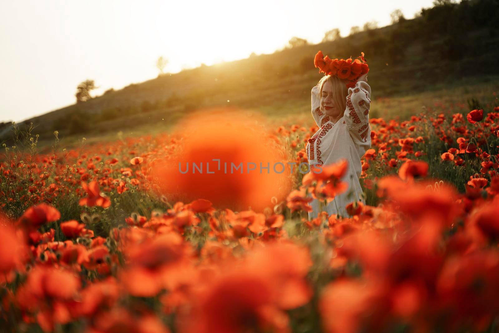 A young blonde woman in Ukrainian folk clothes embroidered holds a wreath of poppies in her hands over her head. Stands on a poppy flowering field