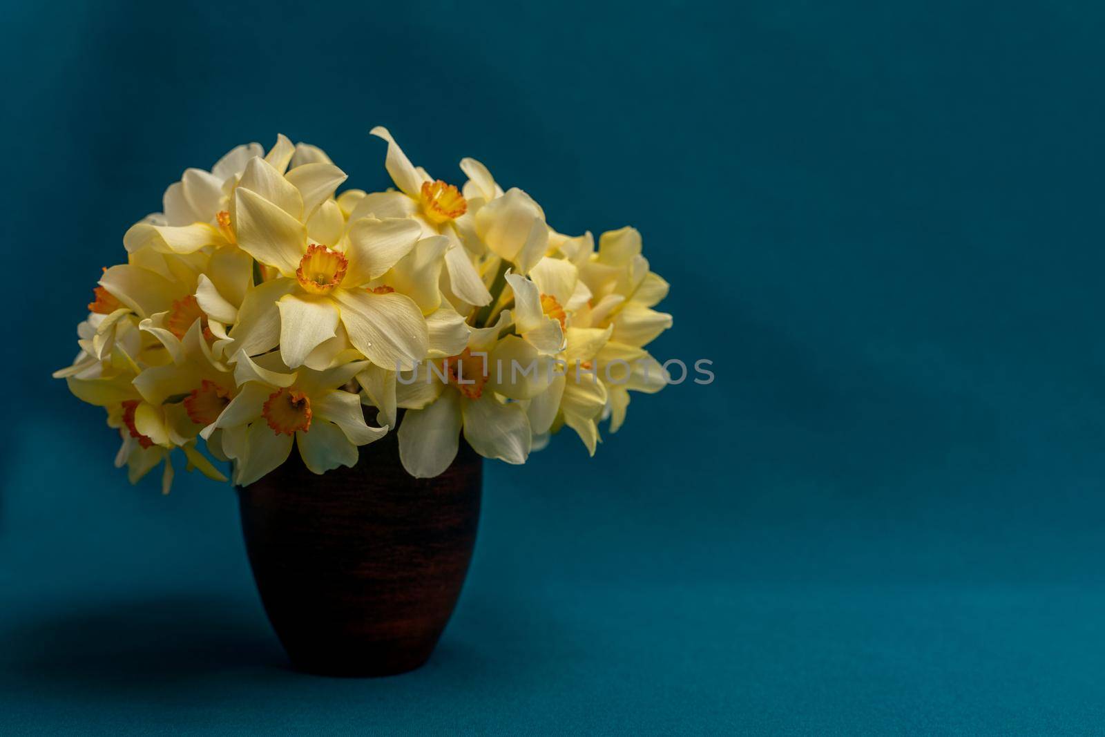 A bouquet of daffodils close-up in a wicker basket. White daffodils with a yellow middle, useful for postcards, backgrounds, greetings, there is a place for inscription