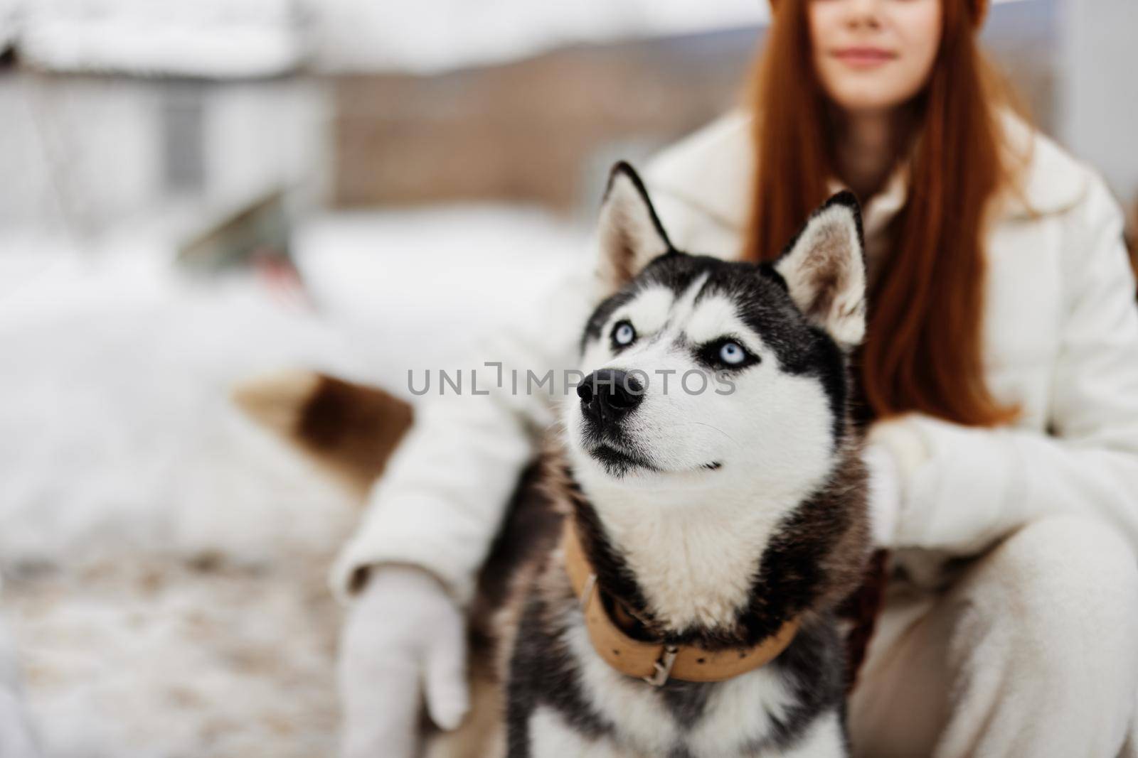 young woman with husky winter landscape walk friendship fresh air by SHOTPRIME