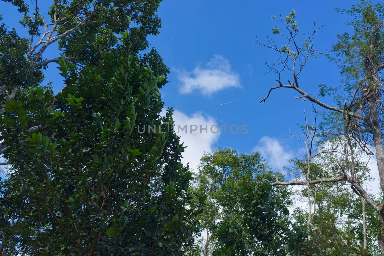 Beautiful sky at Khao yai National Park mountain valley .