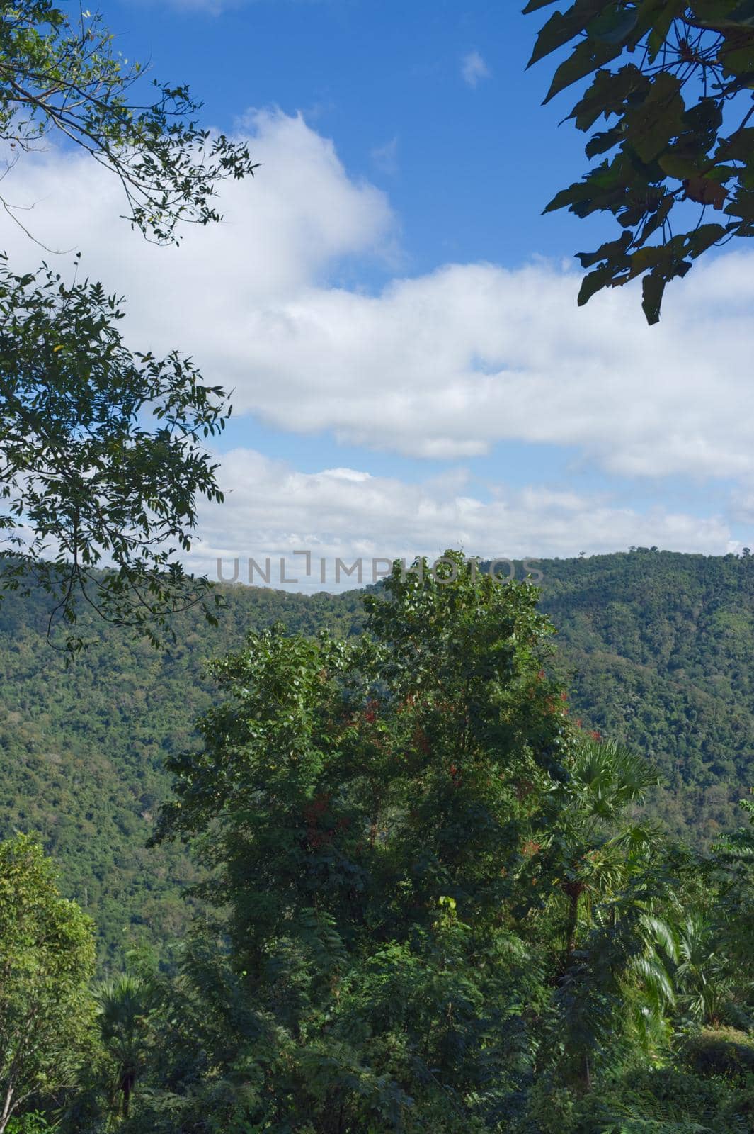 Beautiful sky at Khao yai National Park mountain valley . by Hepjam