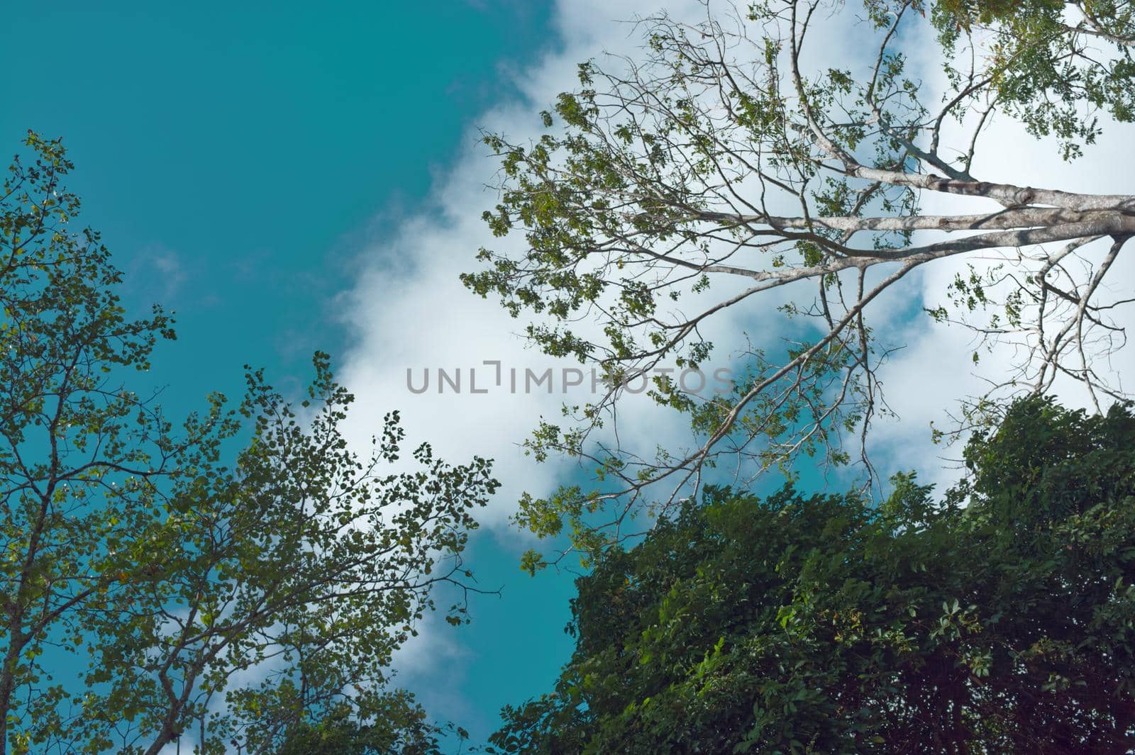 Beautiful sky at Khao yai National Park mountain valley .