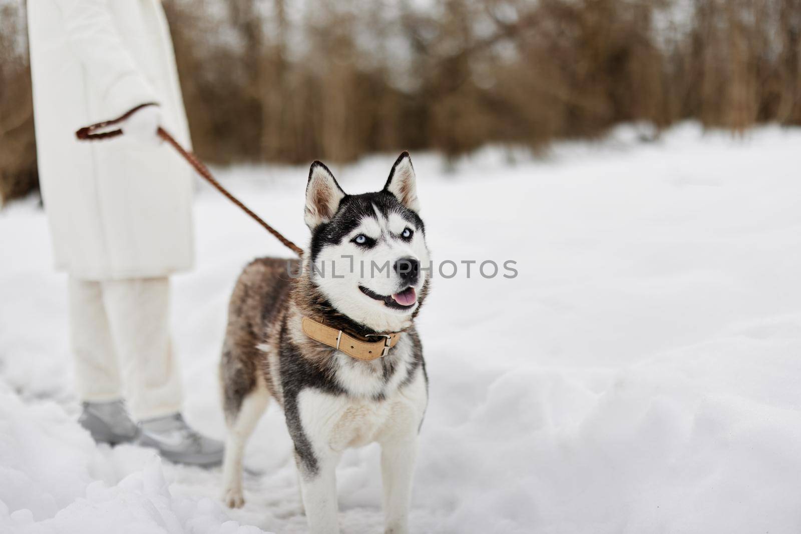 woman with a purebred dog winter landscape walk friendship Lifestyle by SHOTPRIME