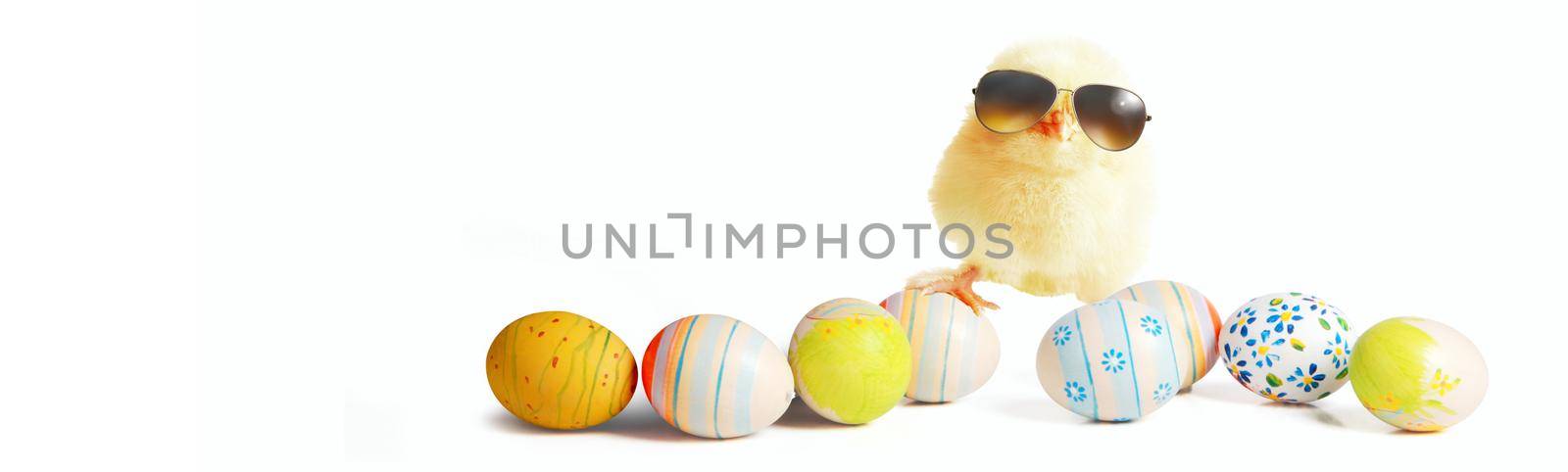 An Easter decoration with cool chicken. Easter holiday concept.