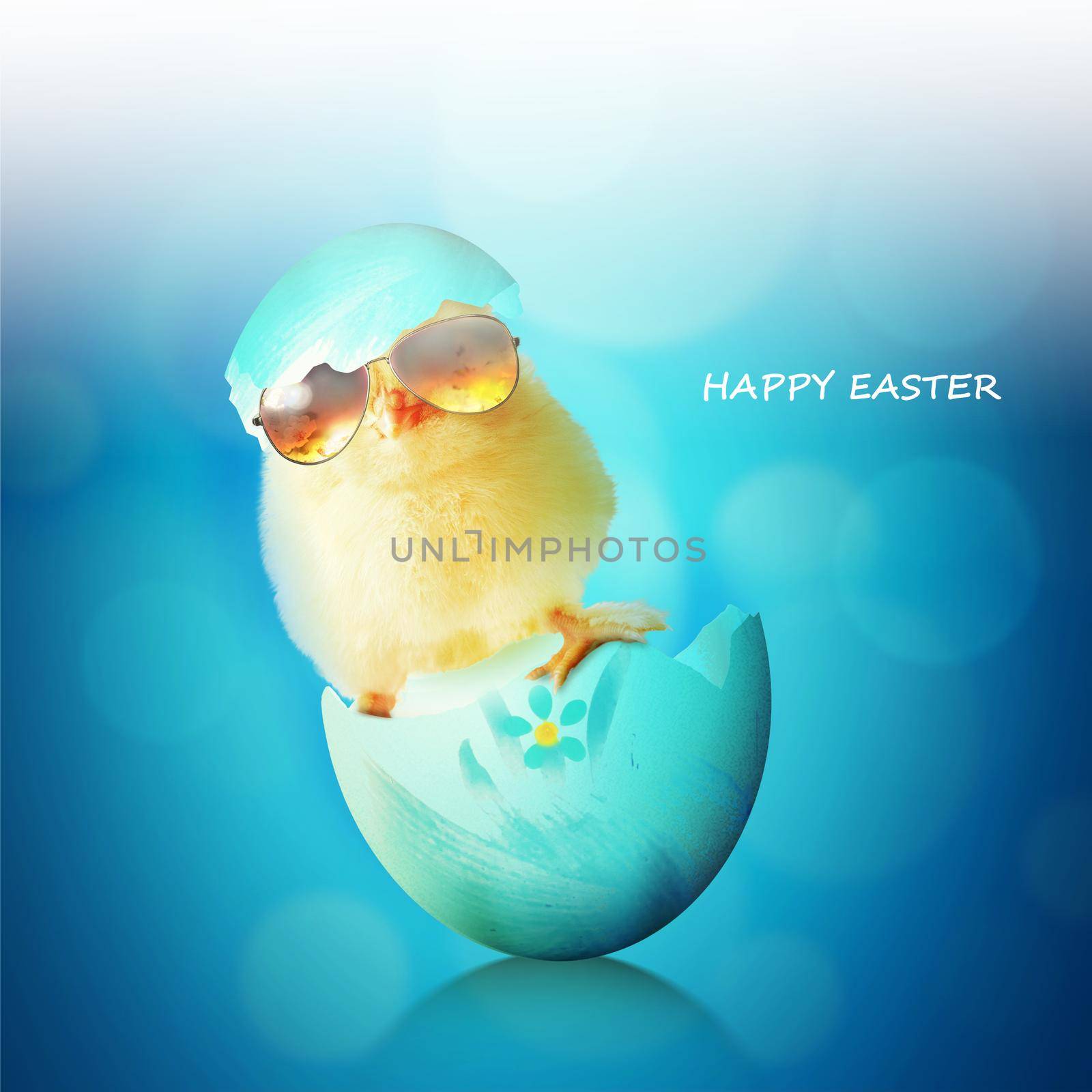 Funny cute baby chick with sunglasses and egg. by Taut