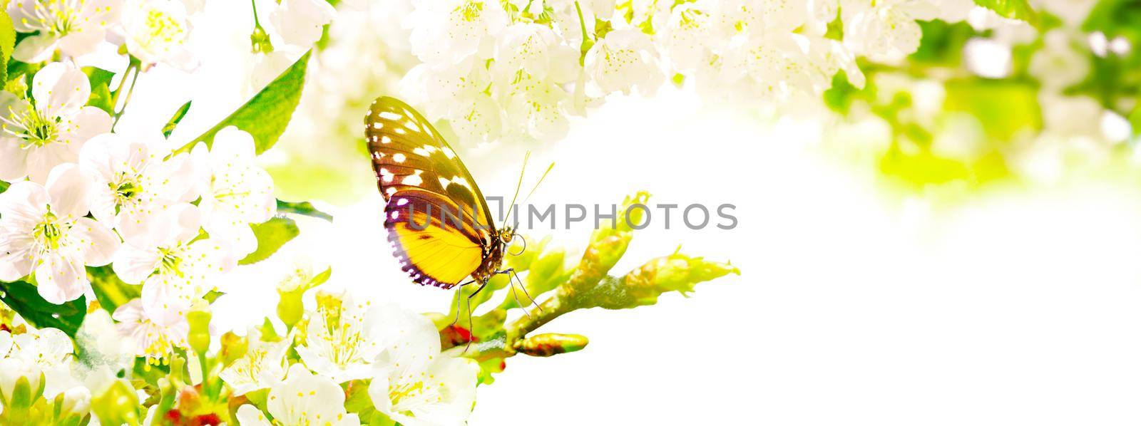 Beautiful nature scene with blooming flowers tree.