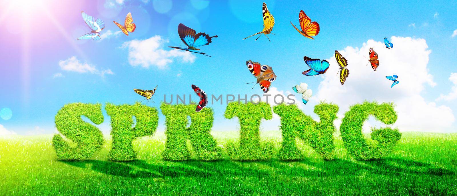 Decorative inscription with letters. Creative spring concept.