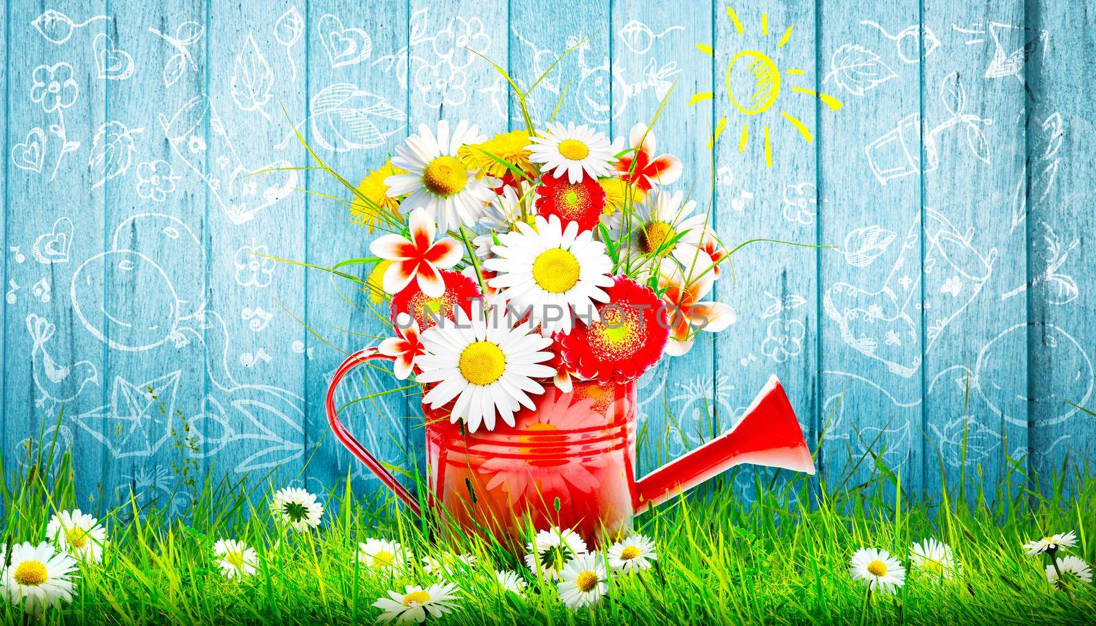 Spring flowers in watering can. Gardening tools and equipment.