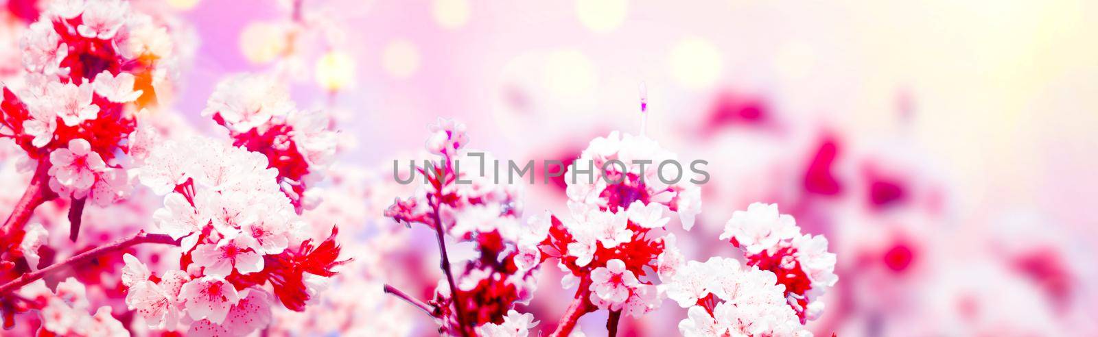Beautiful nature scene with blooming flowers tree.