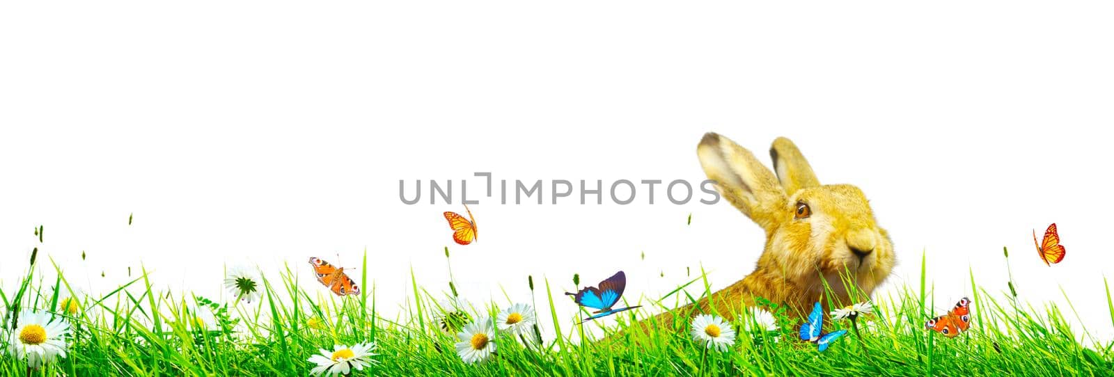 Easter composition with rabbit. Festive decoration. Happy Easter.