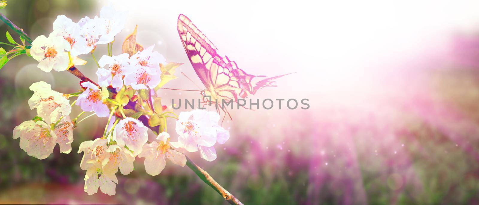 Beautiful nature scene with blooming flowers tree.