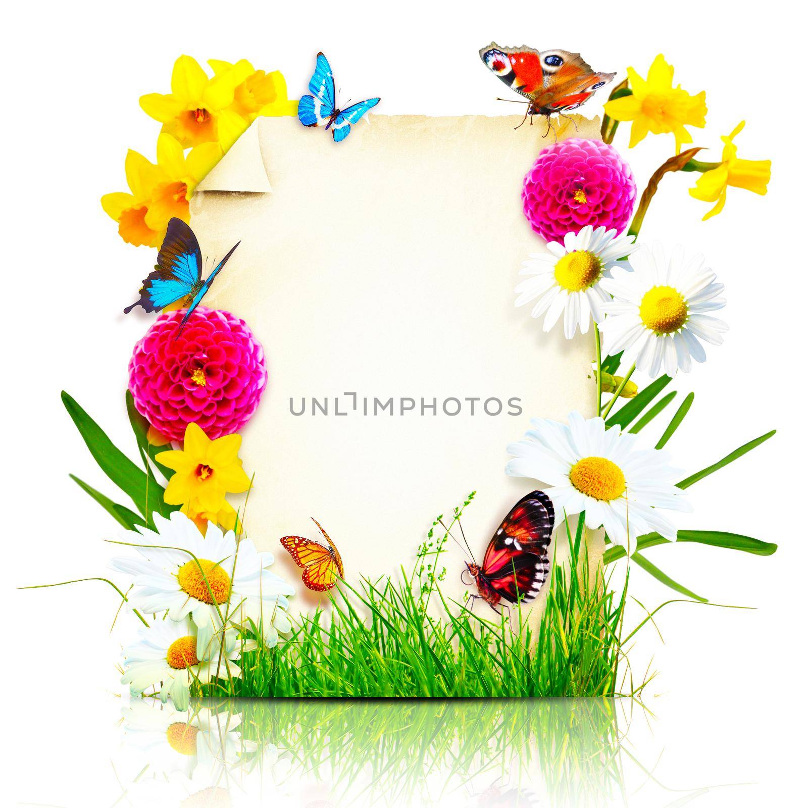 Creative layout with flowers and butterflies. Spring minimal concept.