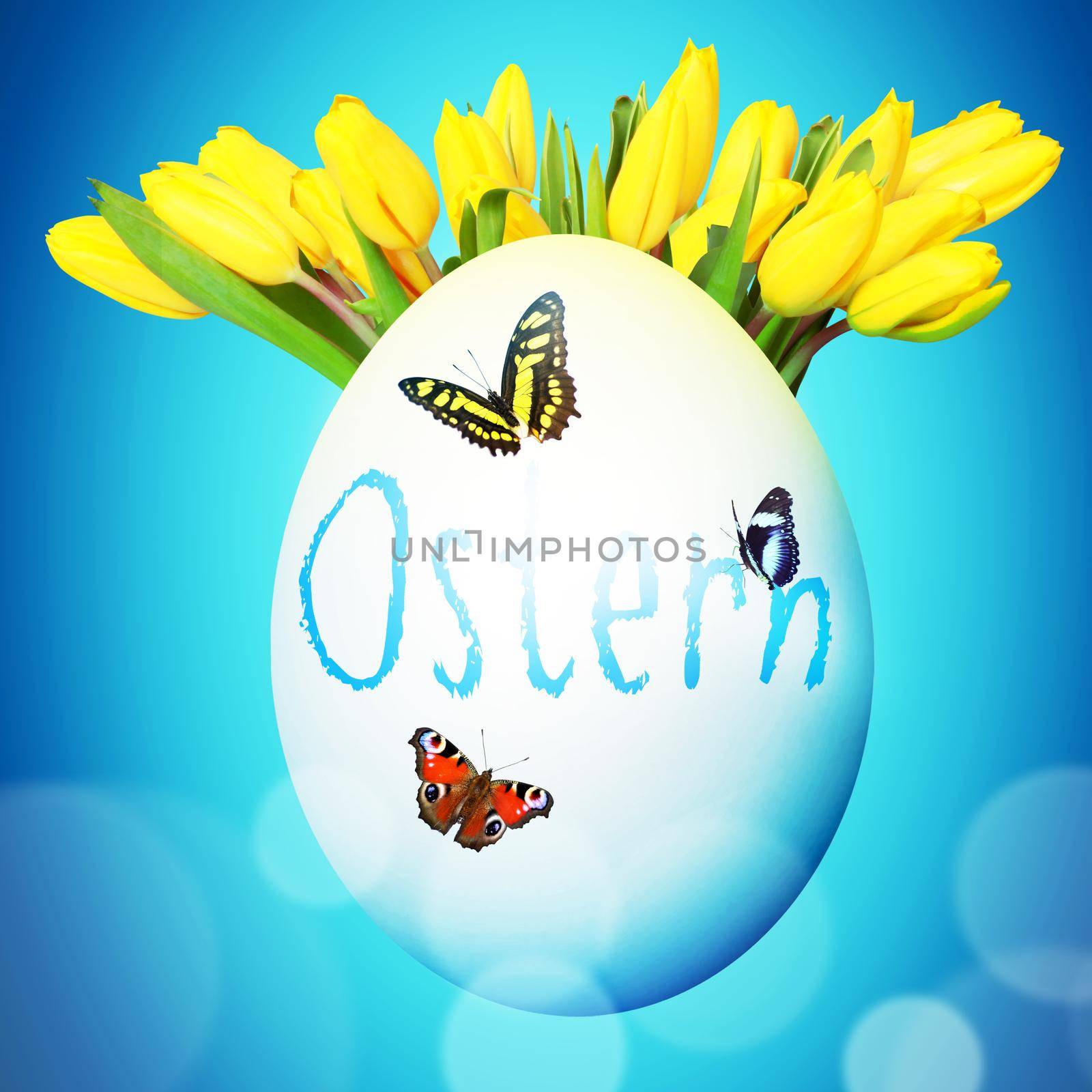 Beautiful Easter background with colorful Easter eggs by Taut