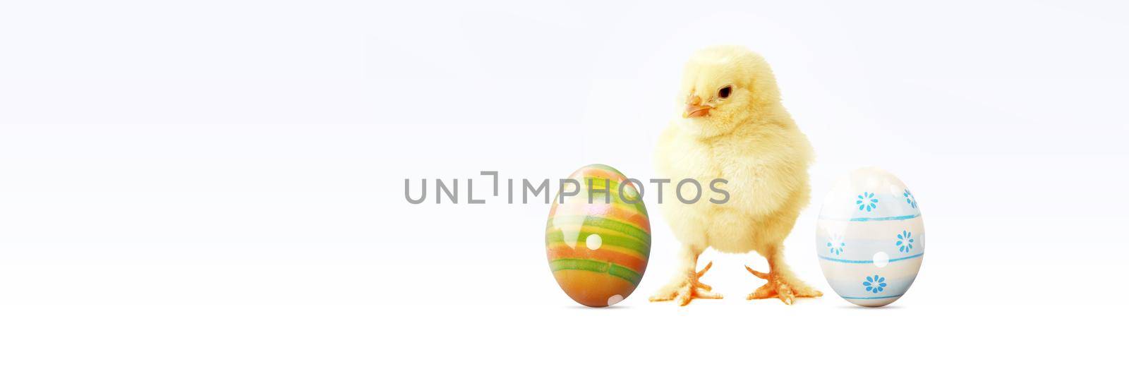 An Easter decoration with Chicken. Easter holiday concept with cute chick.