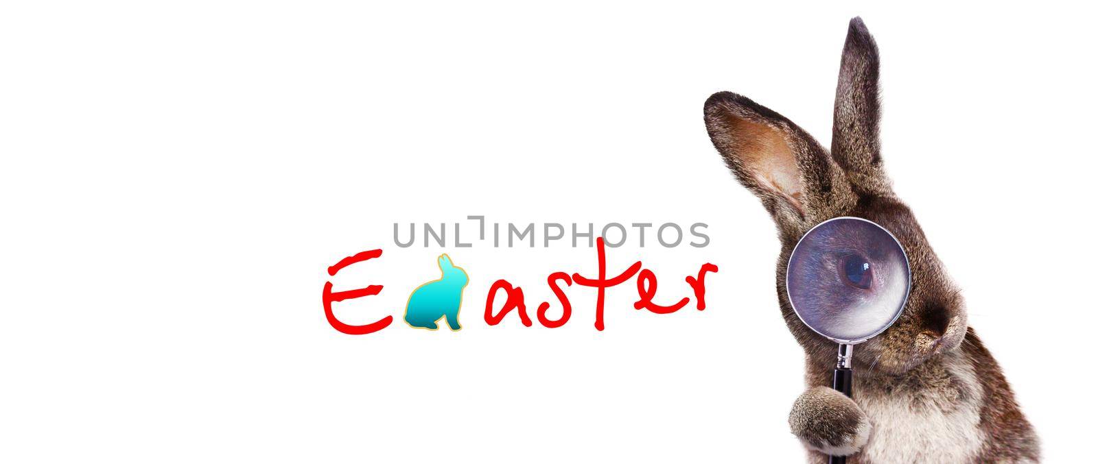 Easter composition with rabbit. Festive decoration. Happy Easter.